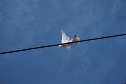 
Birds on power lines. A flock of white pigeons sitting on wires with blue sky Bandung, Indonesia.