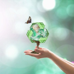 Eco friendly concept with bio recycle world tree planting on volunteer's hands. Elements of this image furnished by NASA