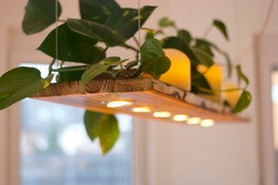 Long wooden pendant lamp (ceiling lamp) with LED. On the top of the lamp there is a green plant and candles. Bright room, windows.