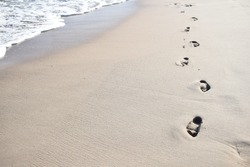 sea ​​beach footprints shore water