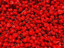 red chili pepper background, Scotch Bonnet Red chili. red cherry ball pepper, pimento, or sweet chilly peppers set background wallpaper. Many red peppers are put together.