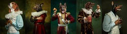 Royal. Models like medieval royalty persons in vintage clothing headed by dog's heads on dark vintage background. Concept of comparison of eras, artwork, renaissance, baroque style. Creative collage.