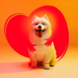 Happiness. Contemporary art collage with beautiful cute dog that is hugged by drawn human hands against orange color background with drawn heart. Concept of care, love, vet, ad