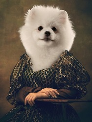Looking at camera. Graceful female model like medieval person in vintage clothing headed by dog head isolated on dark retro background. Comparison of eras, art, renaissance style. Contemporary collage
