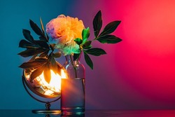 Creative floral composition over dark colored background in neon light. Concept of art, floristry, decorations, creativity, decor. Design for poster, greeting card, magazine cover or wallpaper