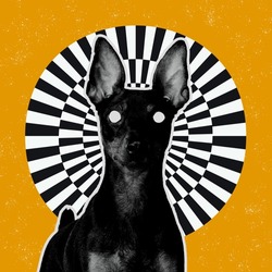 Hypnosis. Dog's portrait over surreal background with optical illusion elements. Contemporary art collage. Art, ideas, imagination. Surrealism, psychedelic