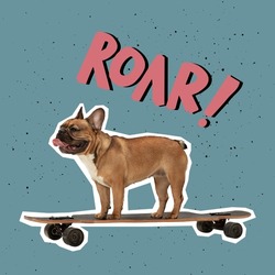 Freestyle. Artwork. One cute dog standing on skate. Animal in human life. Contemporary pop art collage, design in magazine style on color background. Animals with human emotions. Concept of creativity