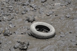 Image of pollution on the banks of a muddy river showing an old tire