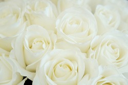 a bouquet of large white roses