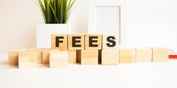 Wooden cubes with letters on a white table. The word is FEES. White background with photo frame, house plant.