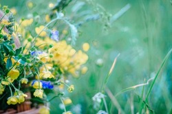 Yellow, blue wildflowers in a wooden wicker basket. A basket of fresh wild flowers in the field.