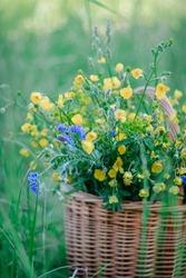 Yellow, blue wildflowers in a wooden wicker basket. A basket of fresh wild flowers in the field. copy space. selective focus.