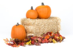 Studio isolated fall pumpkins on hay bale with oak leaves