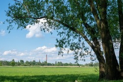 A green spring meadow, a tree's shadow, a tall brick chimney and a church tower in the distance