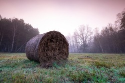 Foggy autumn morning in the forest, meadow with green and yellowed grass, straw bale