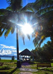 A hut and a bench is on the green grass and coconut trees are there beside the hut with the scorching sun and blue sky in the background.