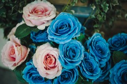 Flowers blue pink  