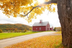 Countryside Farm Road by red barns during New England Autumn with fall foliage trees