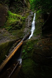 Silverthread narrow waterfall slow shutter speed in forest flowing down rocks with green moss vertical