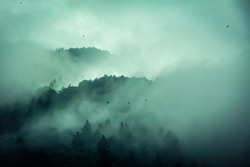 Foggy morning in the mountains-wooded mountain tops, birds in the fog, clouds.