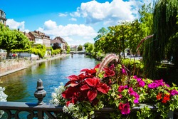 Close-up of beautiful red and pink blooming summer flowers with a river and a bridge in the historic city of Strasbourg, France in the background.