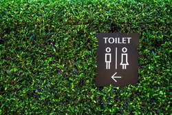 toilet sign for men and women on the green grass wall background. image
