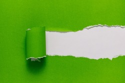 Ripped green paper with empty space on white