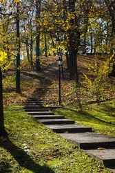 stairs. stairs in a park during the fall.