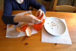 Kid playing with or eating satsumas. Peeling orange fruit. Faceless photo. Only hands and arms visible. Stockholm, Sweden, Europe.