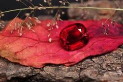 Red gem . Top RUBY on nature