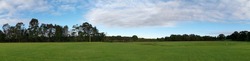 Beautiful panoramic view of a public park with green grass and trees, New South Wales, Australia