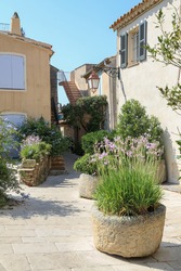 Vintage garden and terrace design with pots planted with blooming plants and flowers and placed on a flagged floor made of natural stones in an idyllic alley of a medieval village in South France