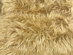 Shaggy faux fur texture in tan rug texture for background