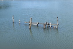 photo of wood in the middle of the river, good for design ideas and also for illustration, nature photography
