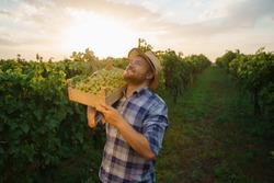 Front view looking at sky in vineyard young worker man winegrower smile tiredly happy hold box with harvest on shoulder. Agronomist farmer spent whole day working in open field in the scorching sun