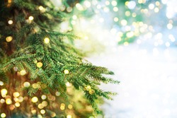 Closeup of Christmas-tree