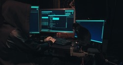 Hacker in a hood sits in front of computer screens and hacks databases. The concept of cyberterrorism, server hacking and cyberattacks. There is a black cat next to the man