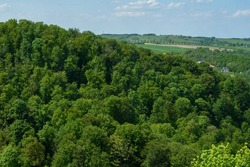 hill overgrown with dense deciduous forest, view from above