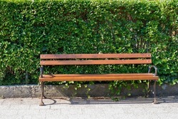 A bench surrounded by greenery. A place to rest in the city street, among green plants. traditional wooden bench in the town. Rustic wooden bench seat in the street. bench at the bus stop