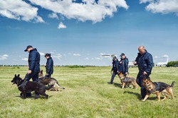 Security workers with detection dogs walking down aerodrome