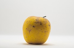 Isolated yellow apple decomposed and rotten