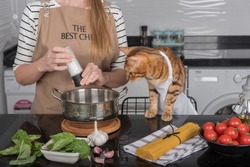 The cat and its owner in aprons cook food together in the home kitchen. Domestic cat watches how the girl salts the food.
