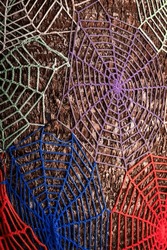 a colorful handmade wool spiderweb decorates the bark of a tree