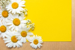 Spring summer pattern chamomile on yellow background and wooden desk