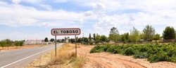 Welcome sign to El Toboso next to the road and vineyards.