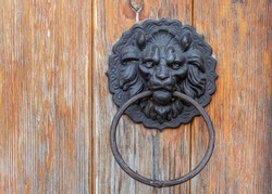 Metal round ring latch decoration handle fitted on wooden gate. Metal door lion head shaped knob ring close up.