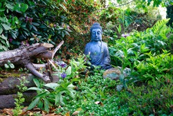 Sitting Buddha figurine mediating, situated in garden of green leaves and small flowers with rocks and old branches