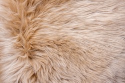 Fur texture top view. Brown fur background. Fur pattern. Texture of brown shaggy fur. Wool texture. Flaffy sheepskin close up
