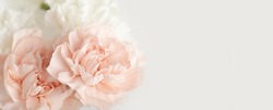 Spring flower bouquet over light background with copy space. Bridal bouquet, online blog header
