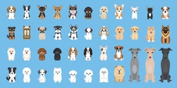 dogs vector Cute puppy pet characters breads doggy illustration. Different type of vector dogs